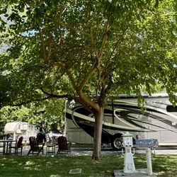 Sugar Barge RV Resort & Marina - Shaded site