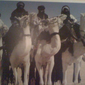 Ali Baba Cafe - a group of men riding camels - Arabic Near Me - Sudbury, Ontario