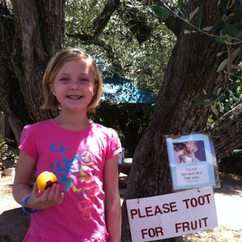 Otow Orchard - She will toot for fruit! - Fruits & Veggies Near Me - Granite Bay, California