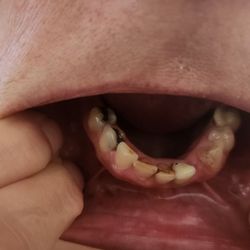 Weeki Wachee Dental Care - Tried taking pic myself.