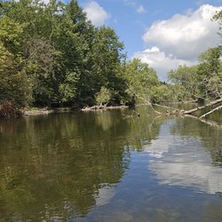 Skip's Huron River Canoe Livery