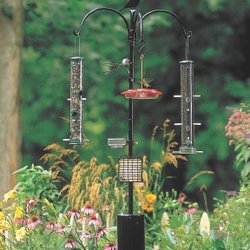 Wild Birds Unlimited