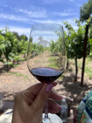 Saddleback Cellars by null