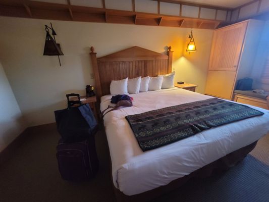 Old Faithful Snow Lodge by null