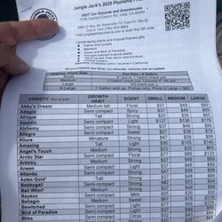 Jungle Jack's Palms, Plumerias & More - Price list 10-10-25