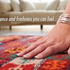 CityWide Carpet Cleaning gift card