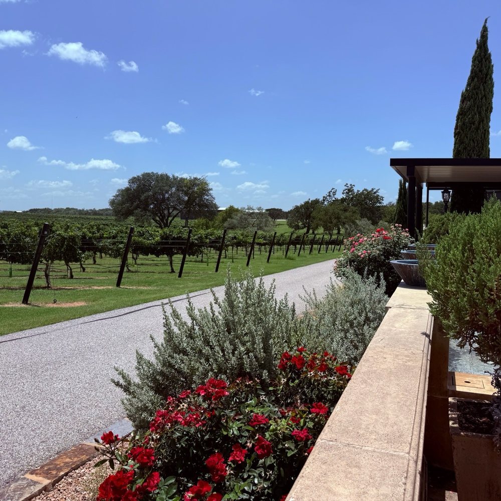 Grape Creek Vineyard - Wineries Near Me - Fredericksburg, Texas