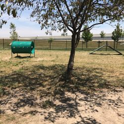 Clay Terrace Dog Park - Activities