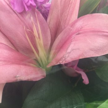 Langdon Florist - Not fresh for 70$ - Florists Near Me - Staten Island, New York Langdon Florist - Not fresh for 70$ - Florists Near Me - Staten Island, New York