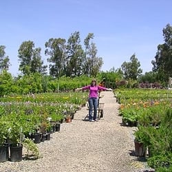 Pow Nursery
