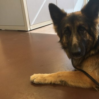 Animal Samaritans Veterinary Clinic Indio - Veterinarians Near Me - Indio, California