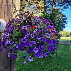 Stakey's Flower House - Stakey basket