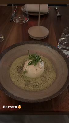 Terravita Downtown by null