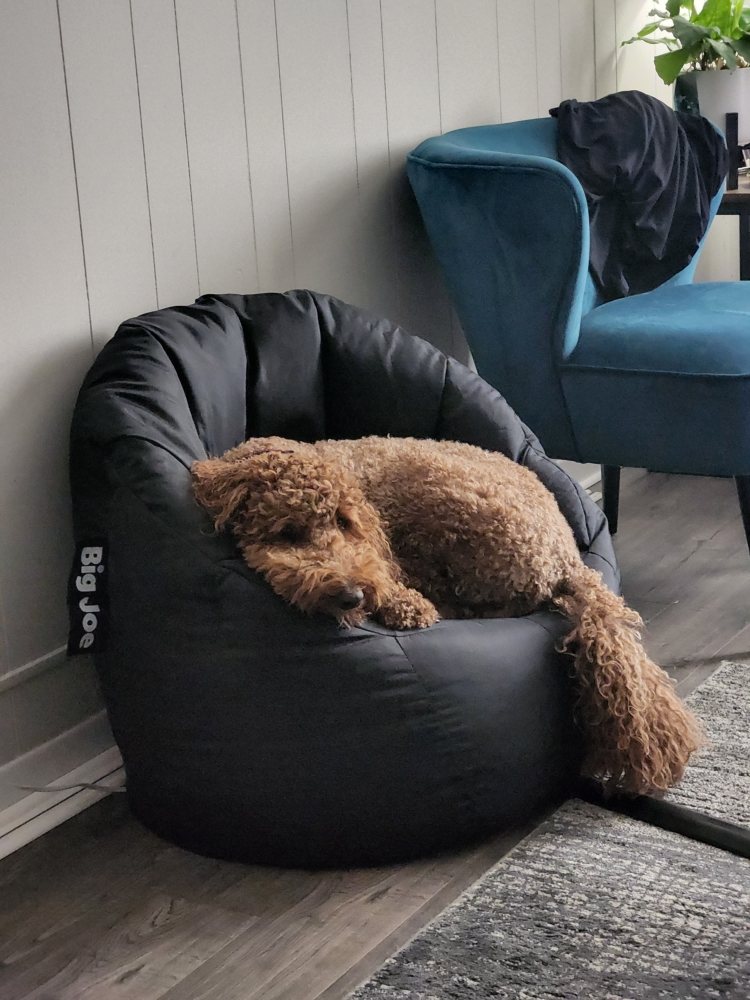 Mandarin Therapeutic Bodywork & Massage Logo