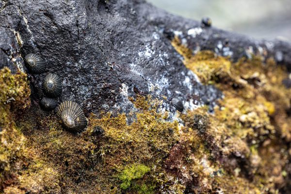 Keawakapu Beach by null