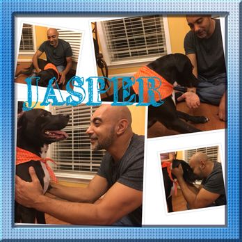 WallyWood Pet Spa - Pet Groomers Near Me WallyWood Pet Spa - Pet Groomers Near Me