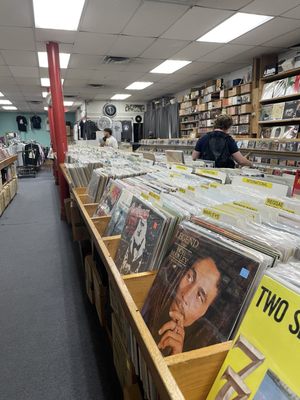 Cheapo Records by null