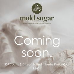 Mold Sugar - New Business Name