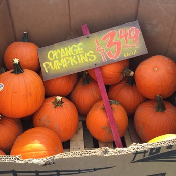 Trader Joe's - Pumpkins for only $3.49! - Grocery Near Me - Libertyville, Illinois