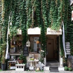 Blumen Galerie Schneiders