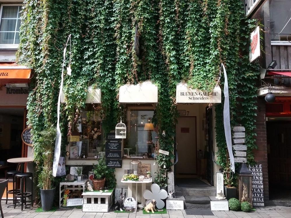 BLUMEN GALERIE SCHNEIDERS Hunsrückenstr. 7, Düsseldorf, Nordrhein