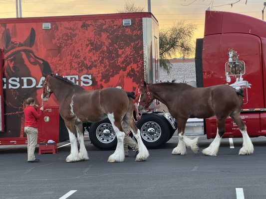 Downtown Summerlin by null