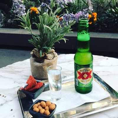 Hippodrome Hotel Condesa by null