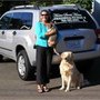Photo of Home Sweet Home Professional Pet Staff