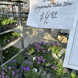 Devan Greenhouses - Love these!!