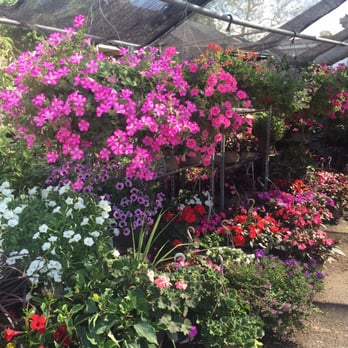 Gray's Florist - Florists Near Me - Watchung, New Jersey Gray's Florist - Florists Near Me - Watchung, New Jersey