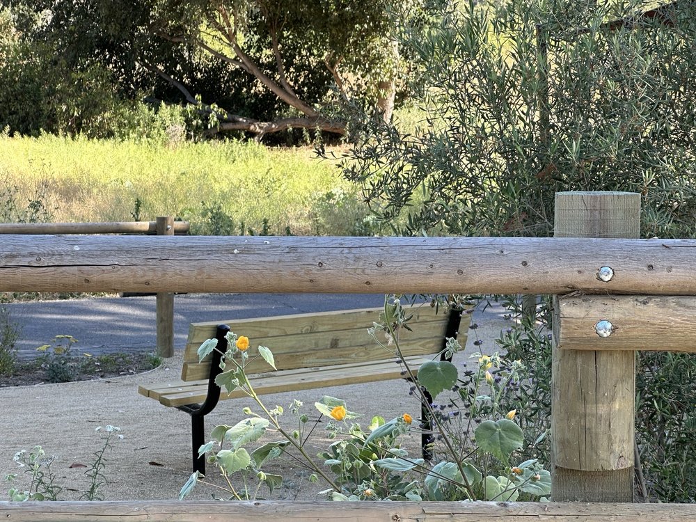 Arroyo Bird House Park Logo