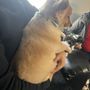 Photo of Groomz by Gabz