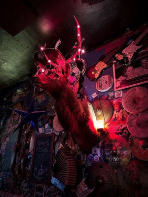 Melody Inn by null