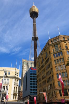 I'm Free Walking Tours Sydney by null