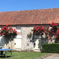 Manoir de Mathan - Plentiful roses in the lovely garden.