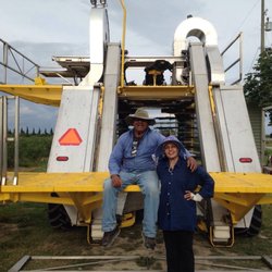 Bancy Blueberry Farms