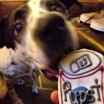 Taj Ma-Hound - Hiccup's drink of choice - Pet Stores Near Me - Decatur, Georgia Taj Ma-Hound - Hiccup's drink of choice - Pet Stores Near Me - Decatur, Georgia