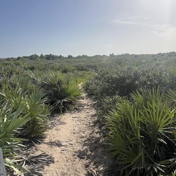 Coconut Point Sanctuary - Hiking Near Me - Melbourne Beach, Florida Coconut Point Sanctuary - Hiking Near Me - Melbourne Beach, Florida