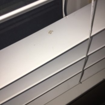 AAA Blind Cleaning & Repair - Shades & Blinds Near Me AAA Blind Cleaning & Repair - Shades & Blinds Near Me