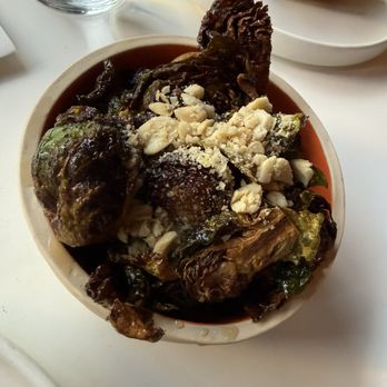 Codex - Brussels - New American Near Me - Norfolk, Virginia