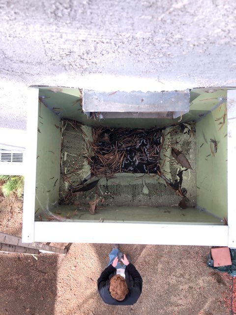 Slide of Always Roofing