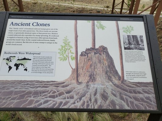 Florissant Fossil Beds National Monument by null