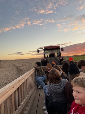 Dehns Pumpkins by null