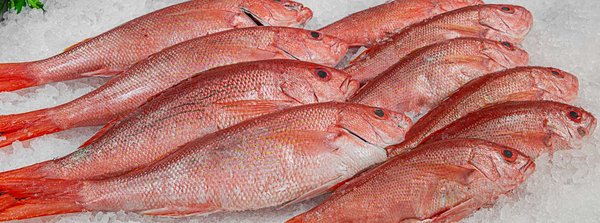 Osler Fish Market by null