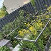 GTZ Landscape and Construction gift card