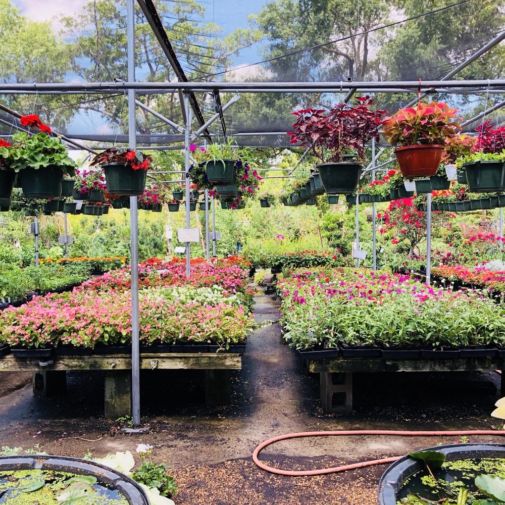 JRN Nursery - Nurseries & Gardening Near Me - Houston, Texas JRN Nursery - Nurseries & Gardening Near Me - Houston, Texas