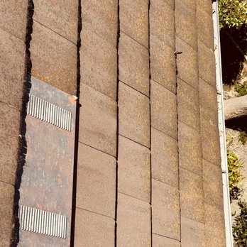 Golden Bay Softwash - Before treatment - Pressure Washers Near Me