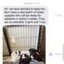 Photo of Oklahoma Humane Society