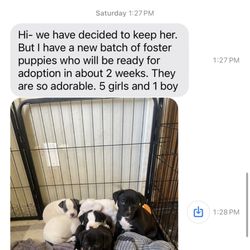 Oklahoma Humane Society