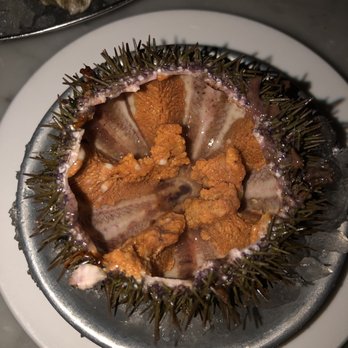 Neptune Oyster - Uni - Seafood Near Me - Boston, Massachusetts Neptune Oyster - Uni - Seafood Near Me - Boston, Massachusetts